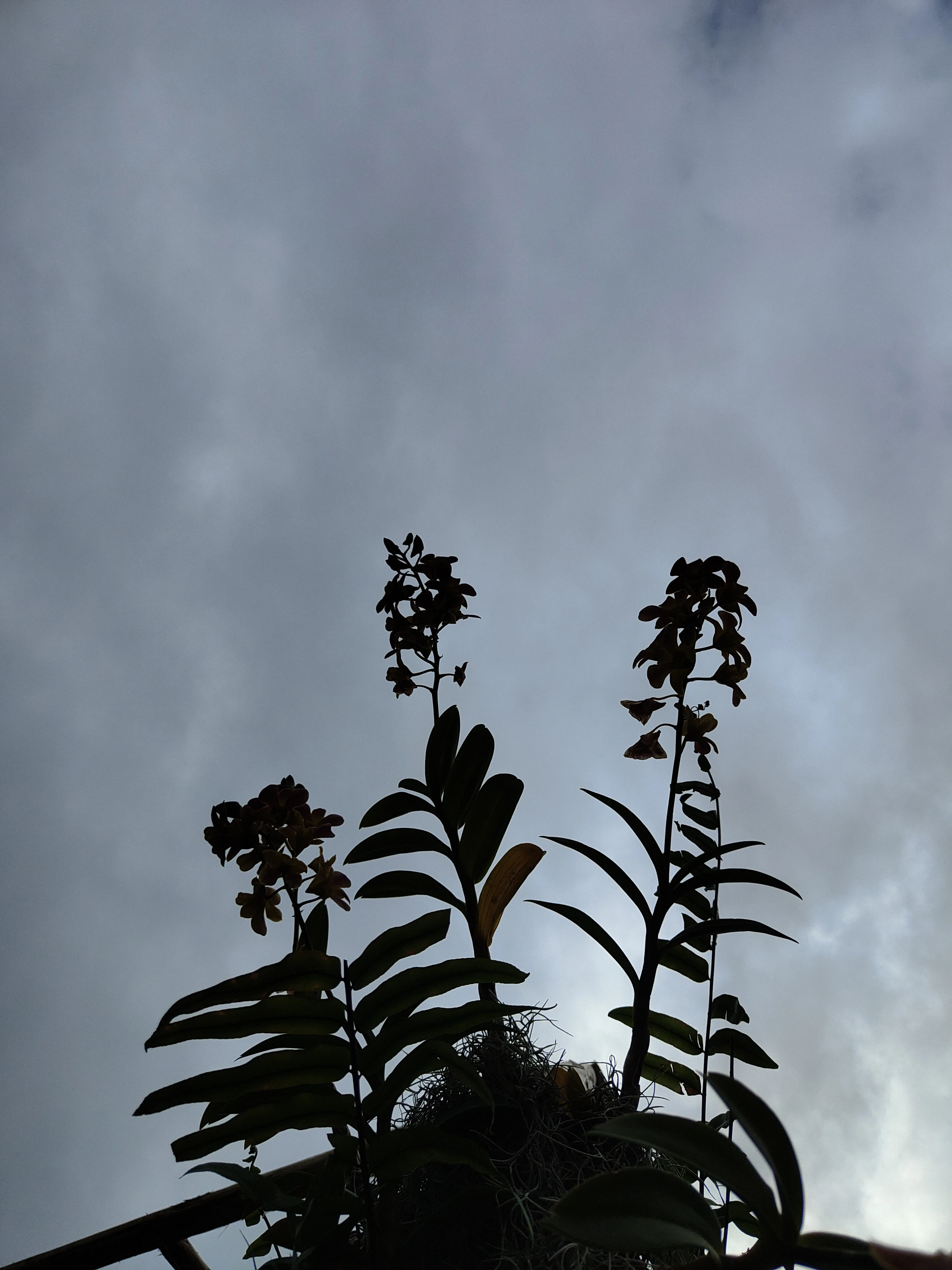 IMG20260301160744