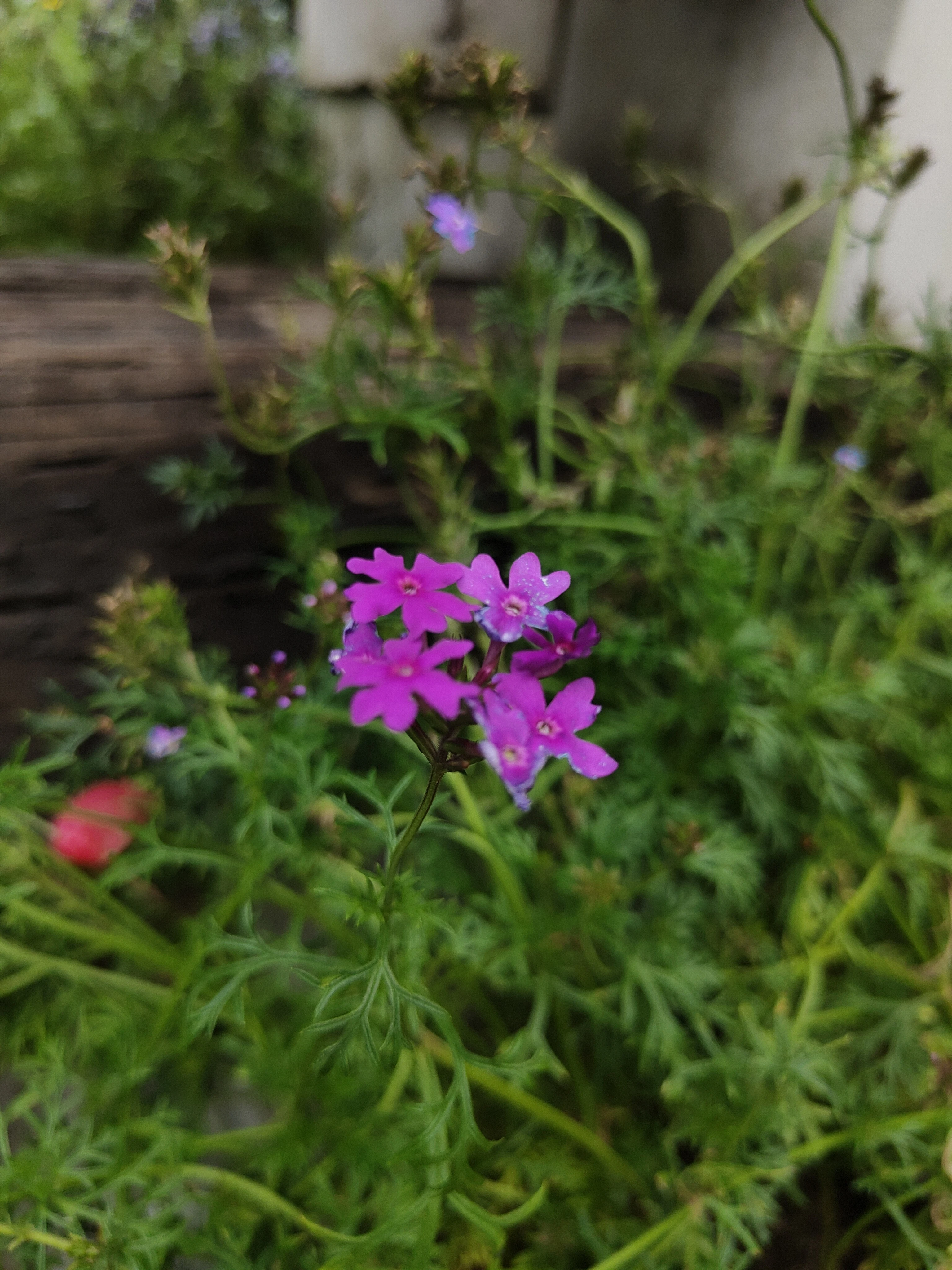 IMG20260301161028