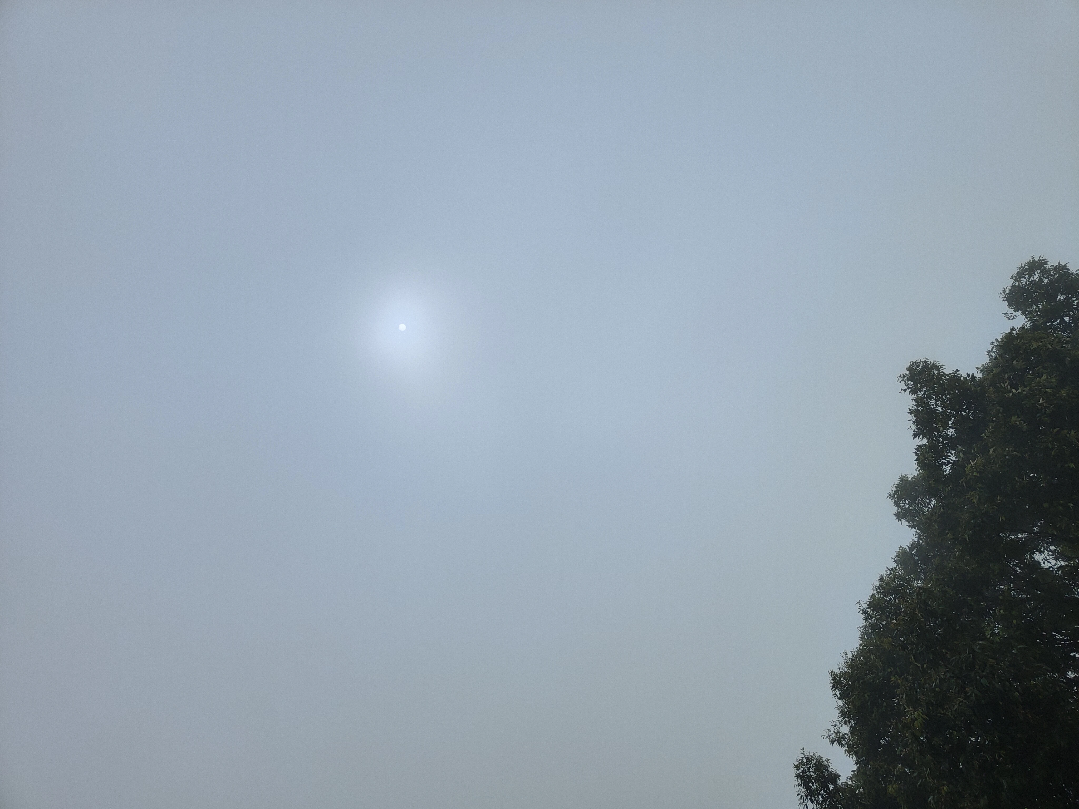 IMG20260607153734