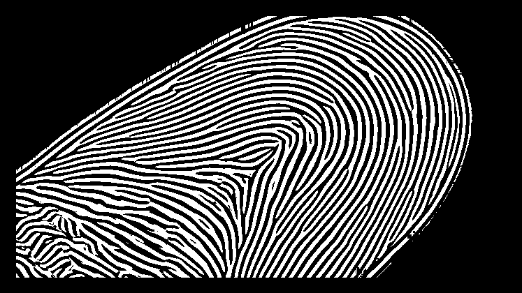 Results : Fingerprint extracted