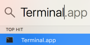 Image is a screenshot of searching for Terminal in Mac's spotlight