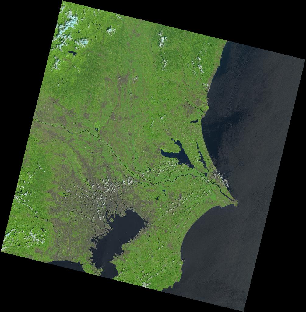 Landsat image thumbail