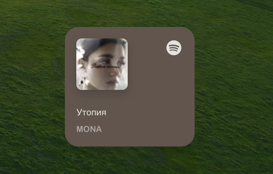 Spotify Player New widget for macOS by developerbola