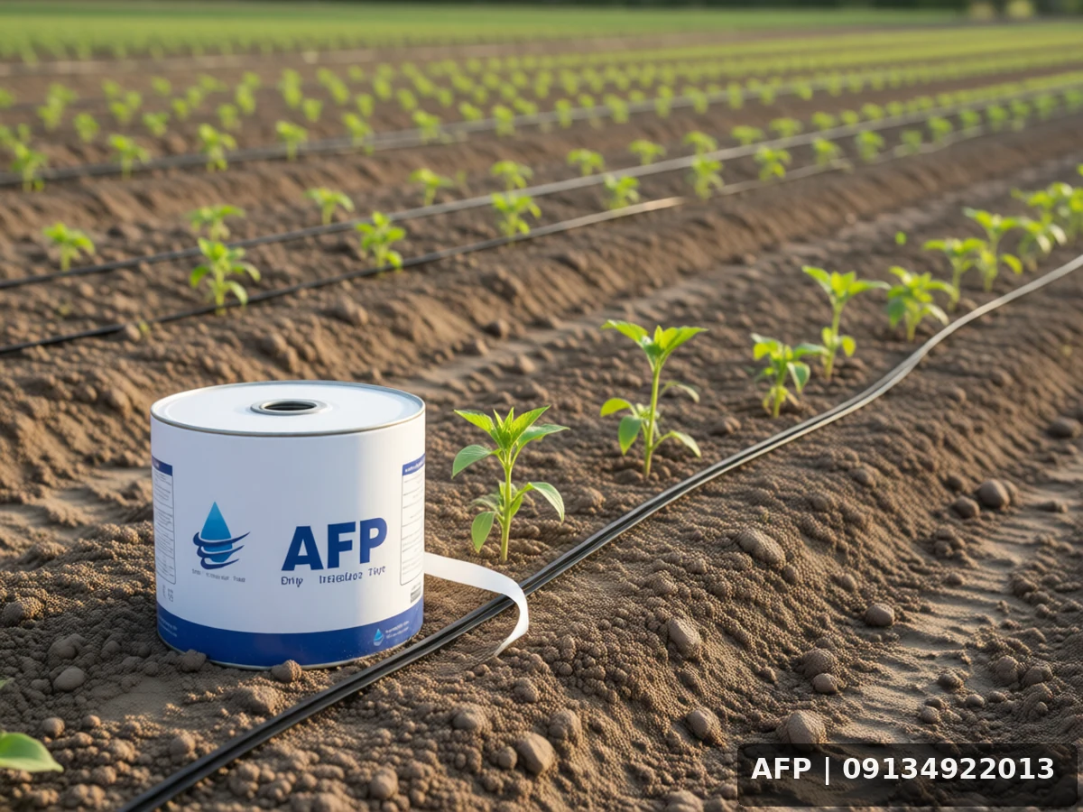 خرید نوار تیپ ۲۰ سانتی در خشکبیجار - تصویر یکپارچه مرتبط با موضوع مقاله و محصول AFP