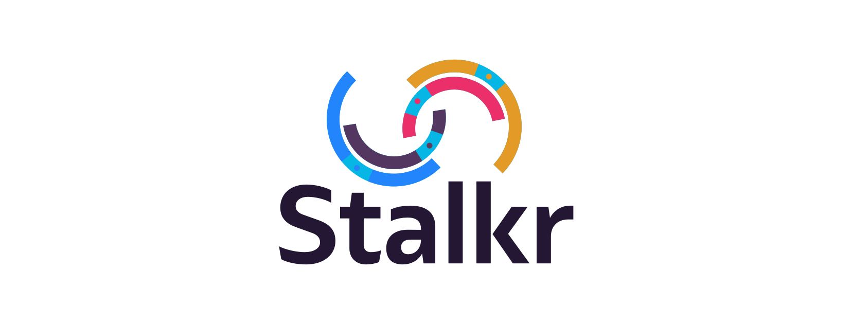 Stalkr Logo