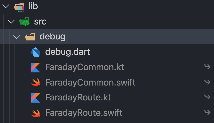 debug_folder