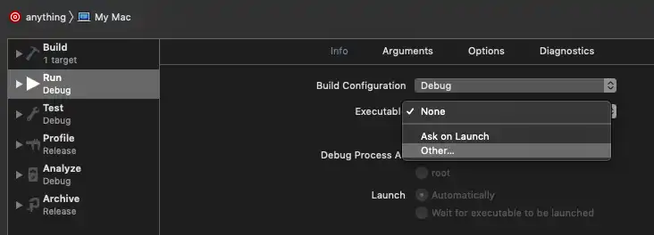 Xcode scheme arguments