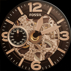 Fossil