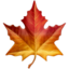 maple_leaf