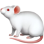 mouse2