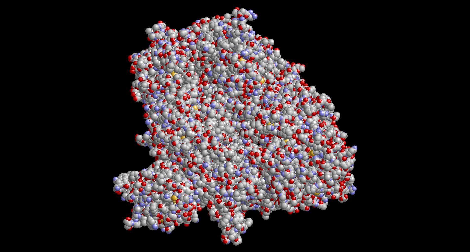 Molecular surface