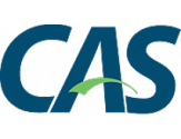 CAS Server