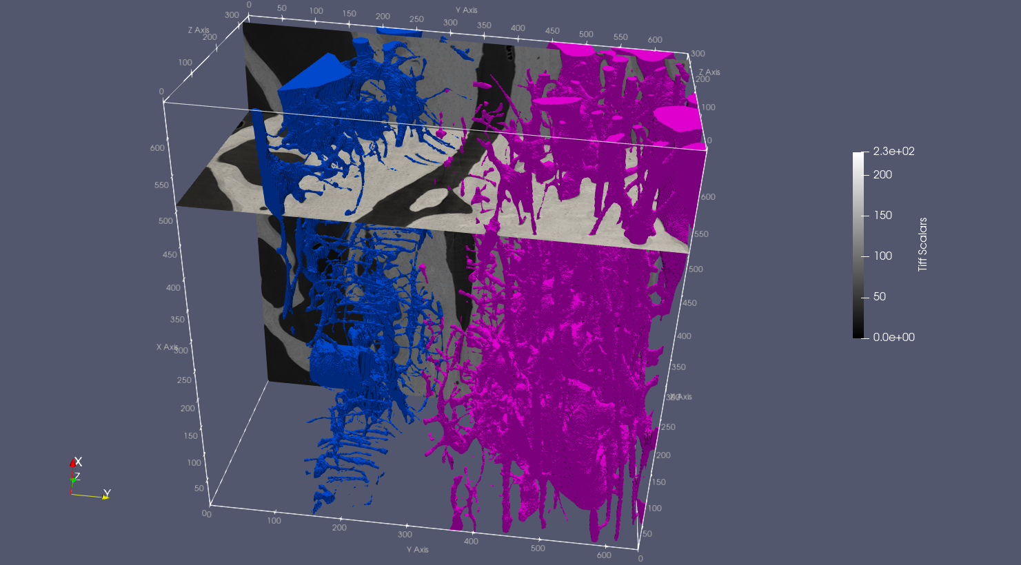 Paraview visualization