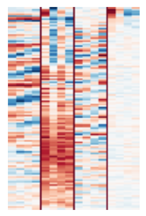 Filters visualization