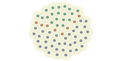 Morphogenesis Simulation · GitHub