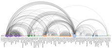 Arc Diagram · GitHub