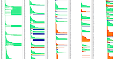 Global Fossil Record I · GitHub