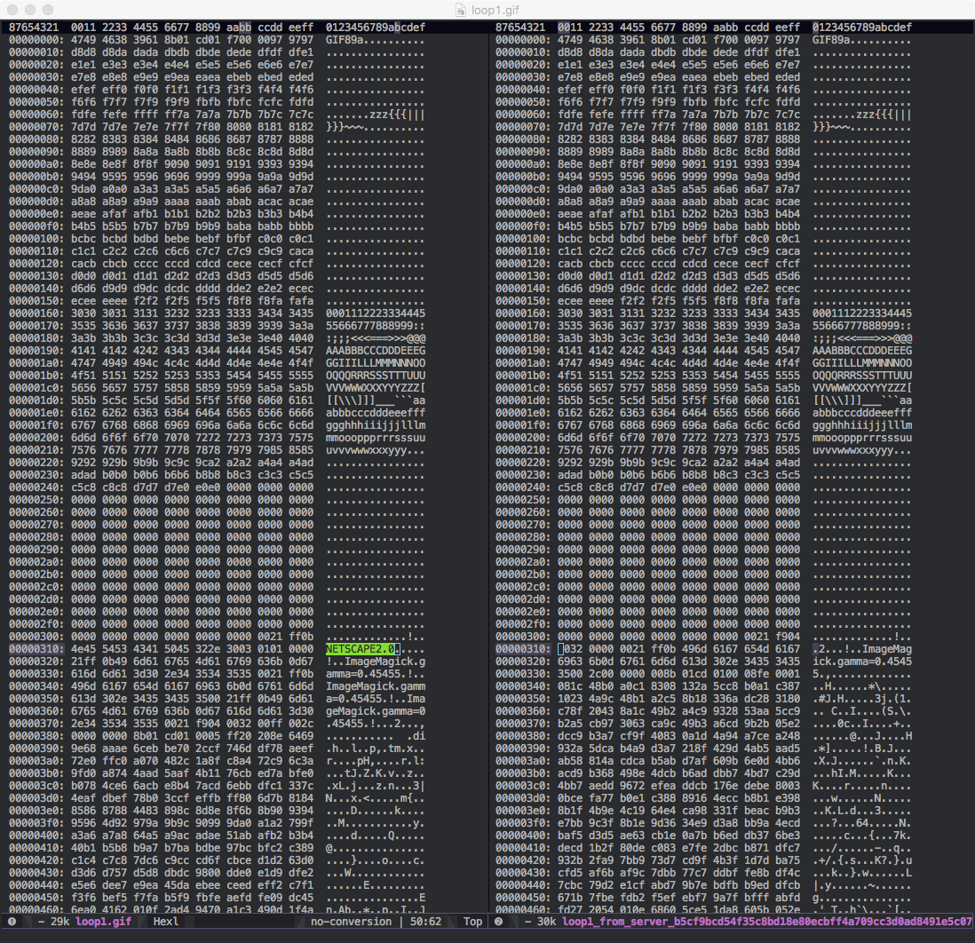 How To Interpret The Loop Count In Gif Md Github