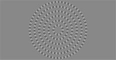 Square Circle Spiral Illusion · GitHub