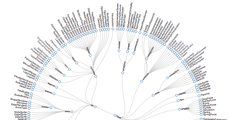 Radial Cluster Dendrogram · GitHub