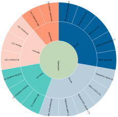 Depression Wheel · GitHub
