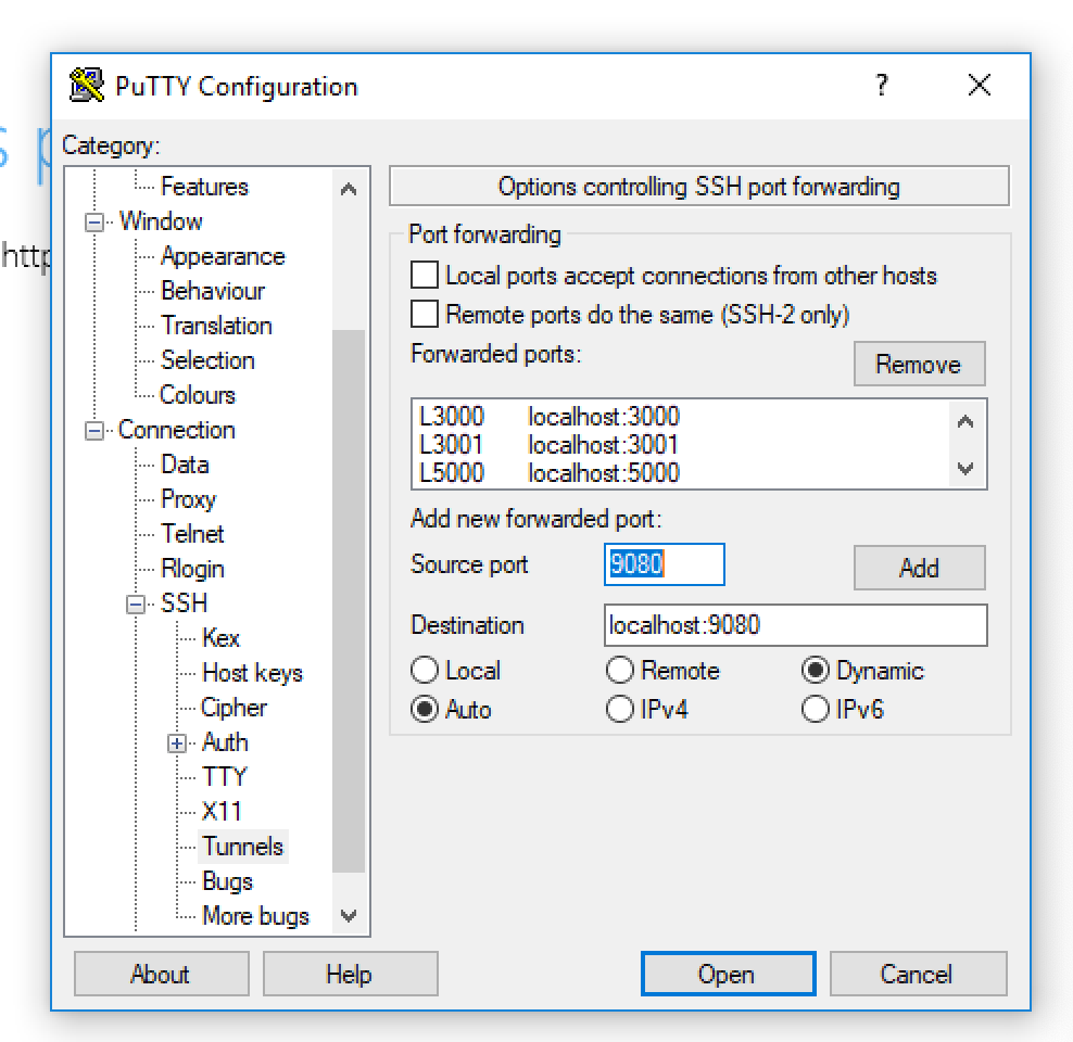 Control перевод. Putty туннель. SSH порт. Putty порт. Putty SSH tunneling.