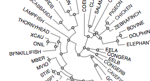 Radial tree layout · GitHub