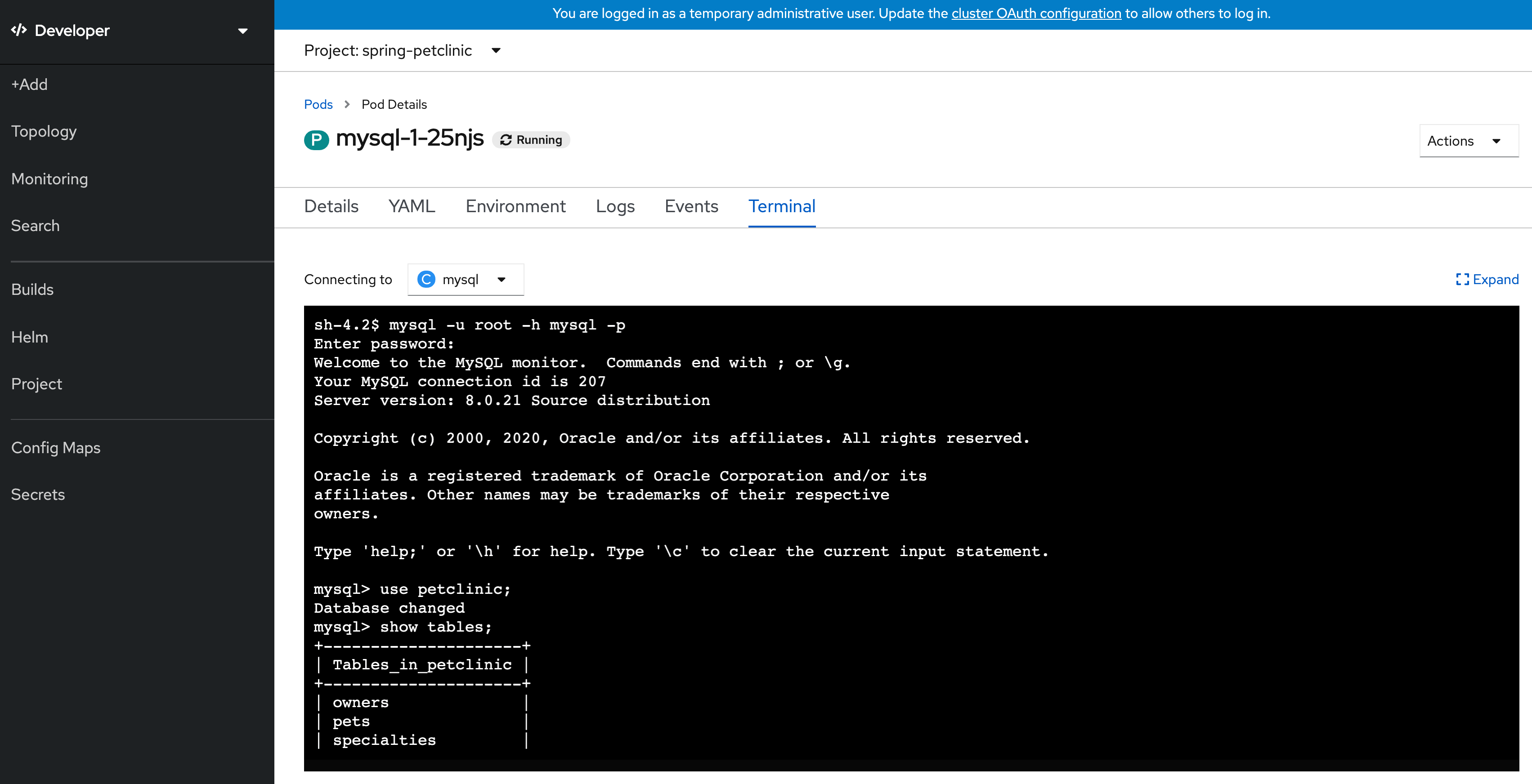 MySQL Terminal