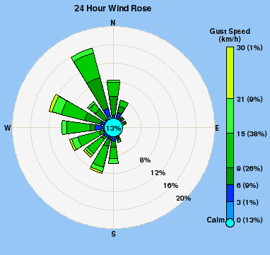 Sample polar windrose plot