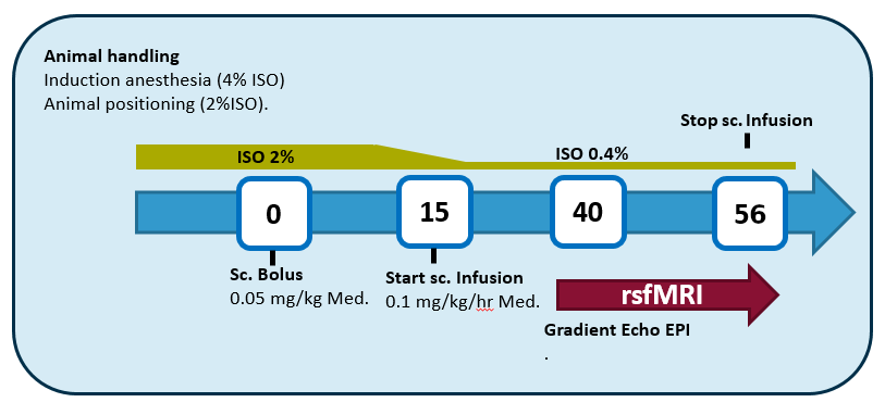 Anesthesia graphical summary