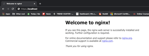 Nginx Default Index html page