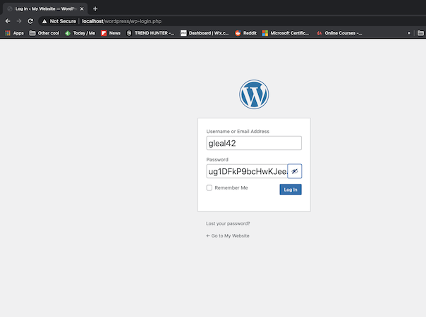 Wordpress Login Page