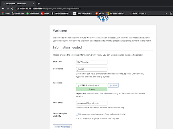 Wordpress Website Setup Page