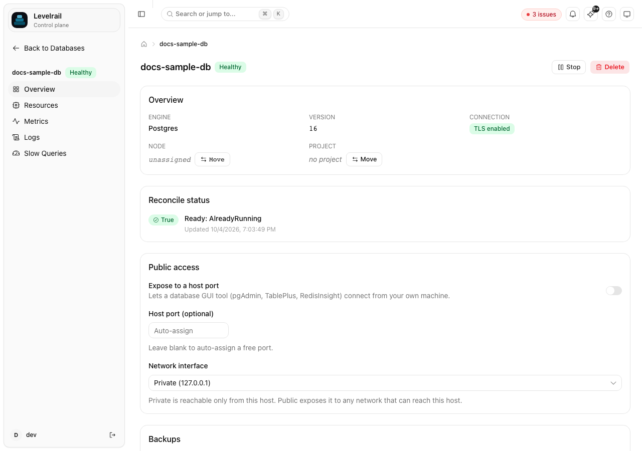Levelrail database overview with TLS and public access settings