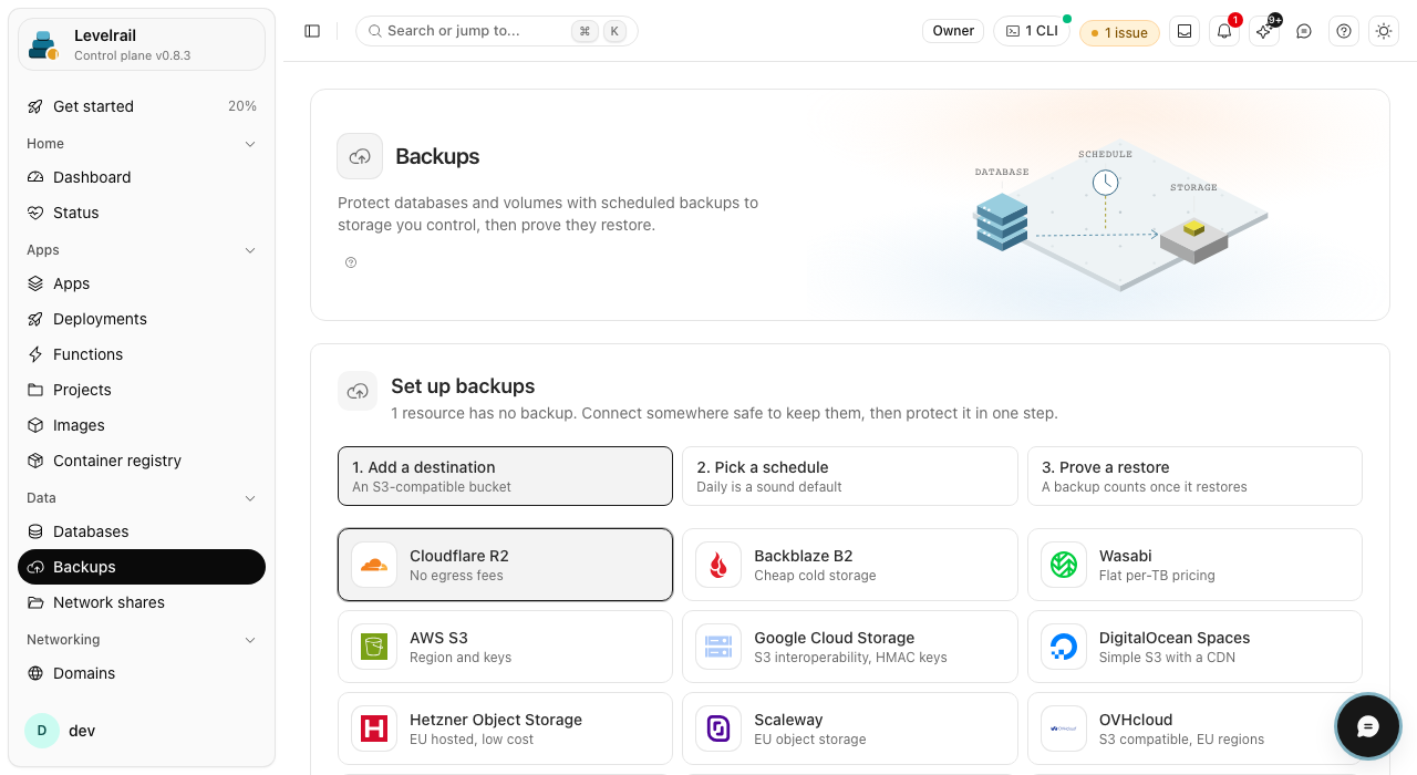 Levelrail dashboard: Backups: targets and history