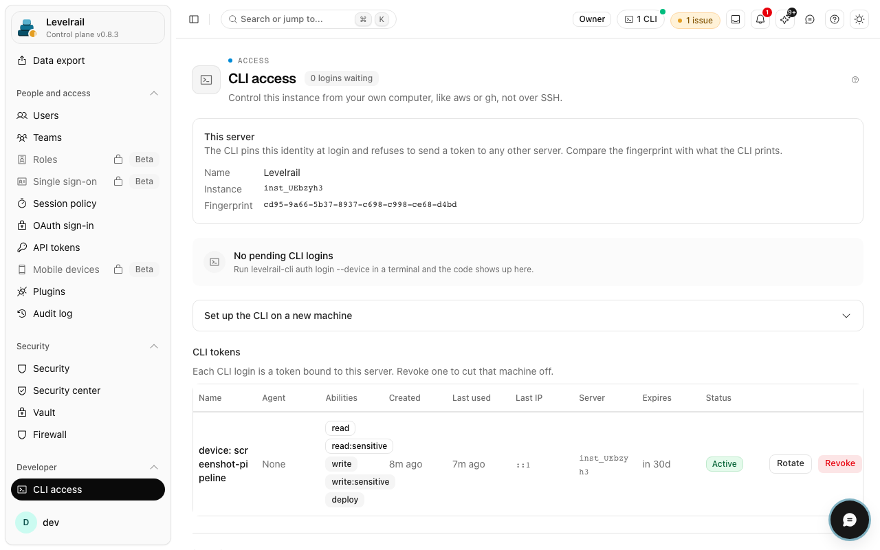 Levelrail dashboard: CLI access: this server, tokens, pending logins