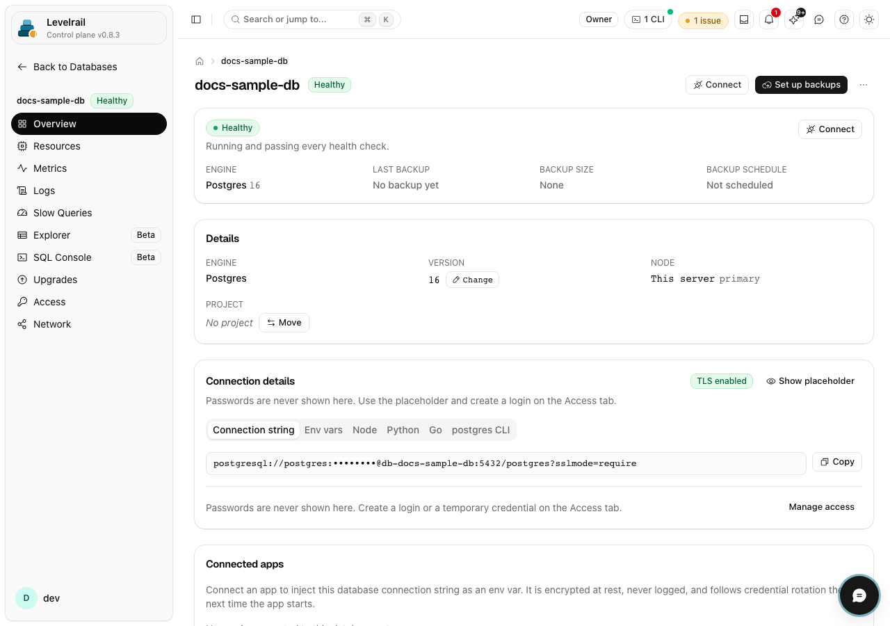 Levelrail dashboard: Database overview: connection, status, resources