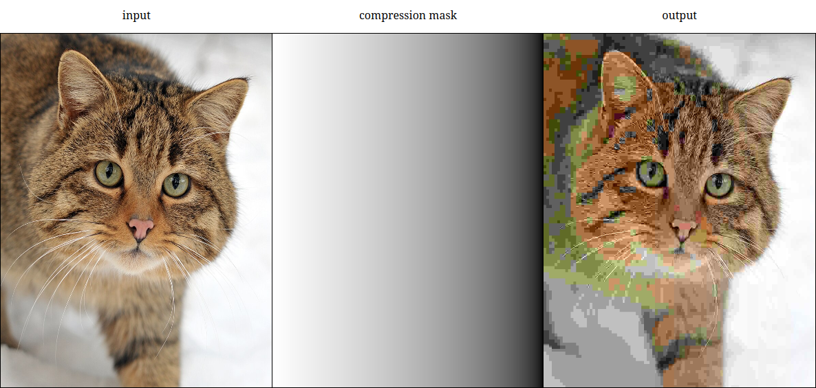 Preview showing an unedited picture of a cat on the left, a greyscale mask indicating where the compression occurs, and the output on the left