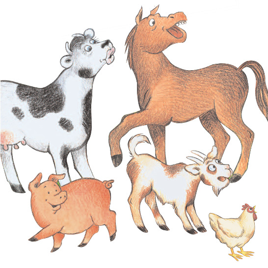 A cow, a horse, a pig, a goat and a chicken.