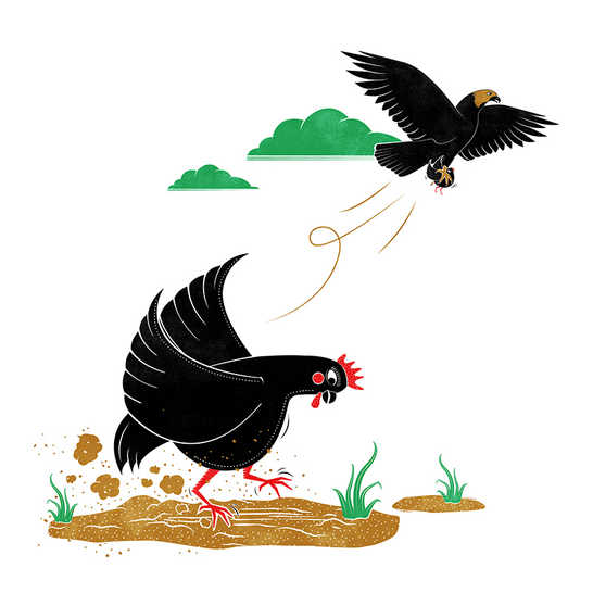 A hen scratching in the sand and an eagle flying above.