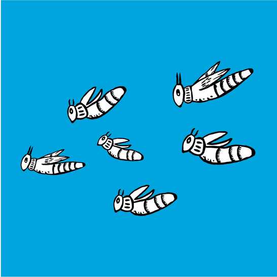 Six grasshoppers flying.