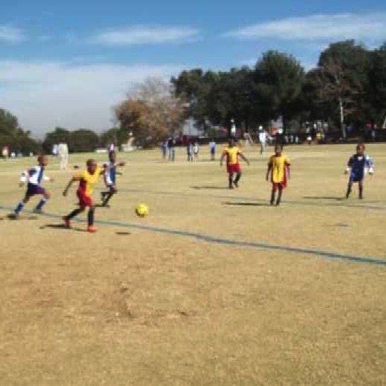 A girl and boys playing soccer.