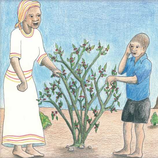 A woman and a boy standing next to a bush.