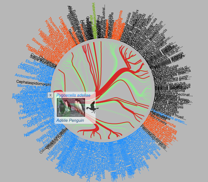 Screenshot of a bundle diagram