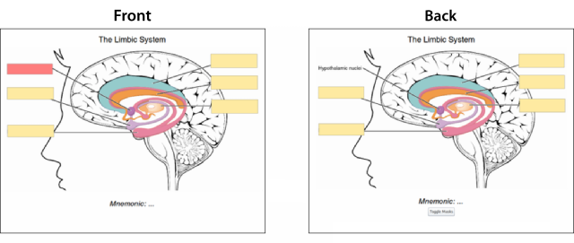 Tela de pergunta do OA quiz  Download Scientific Diagram