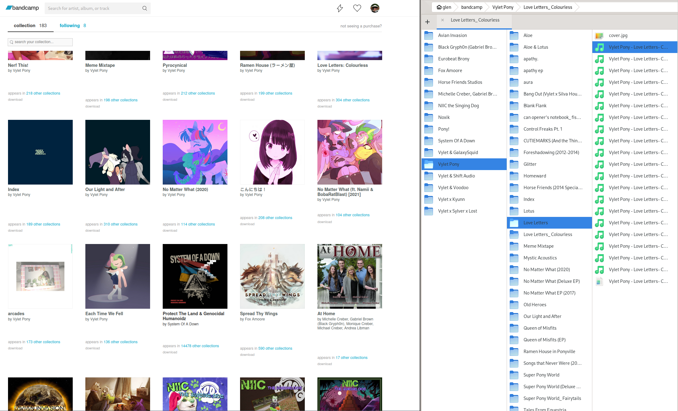 example of a downloaded bandcamp collection