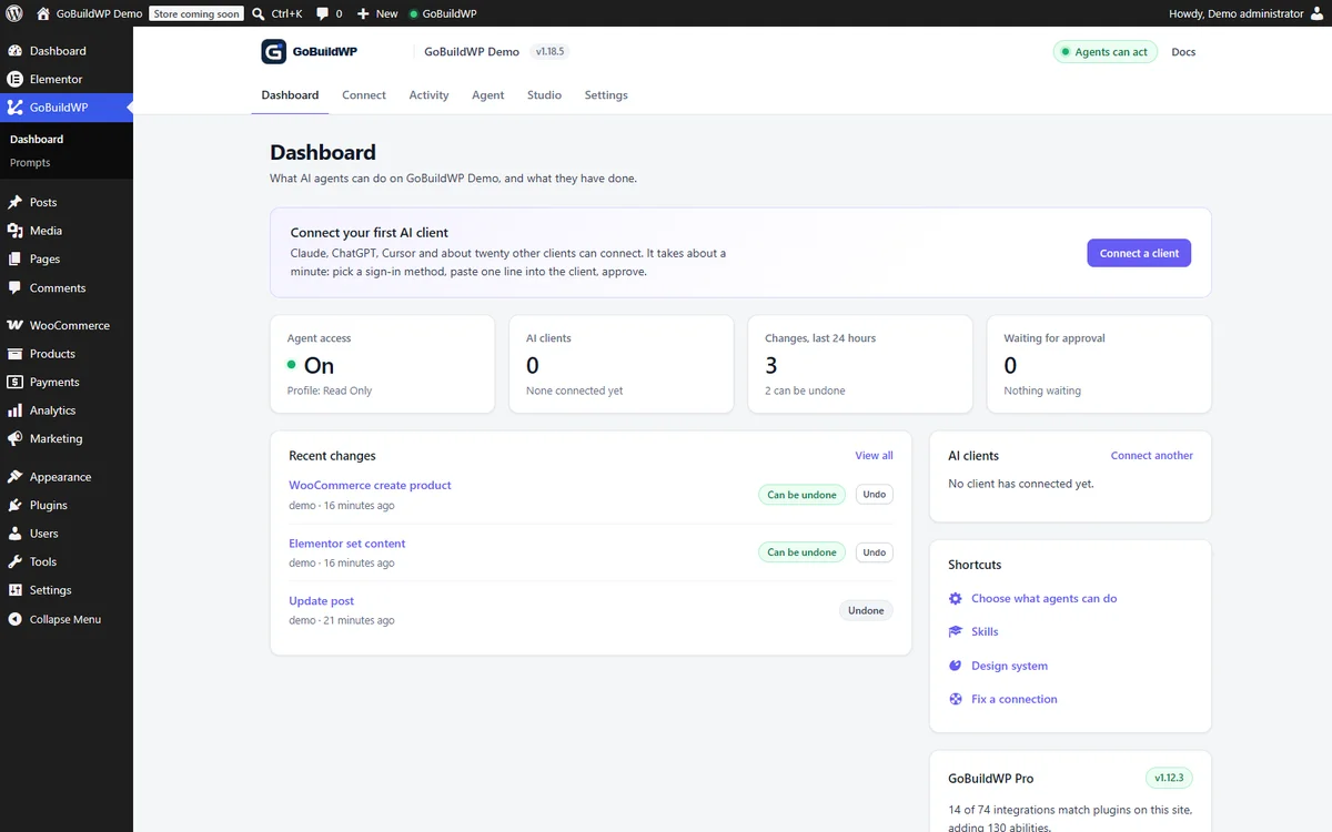 GoBuildWP dashboard in WordPress admin