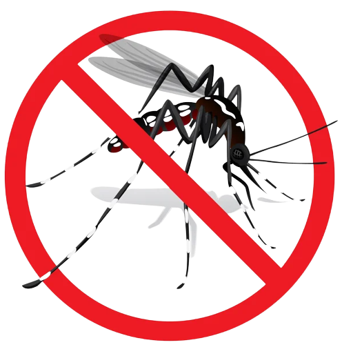 Aedes aegypti Logo