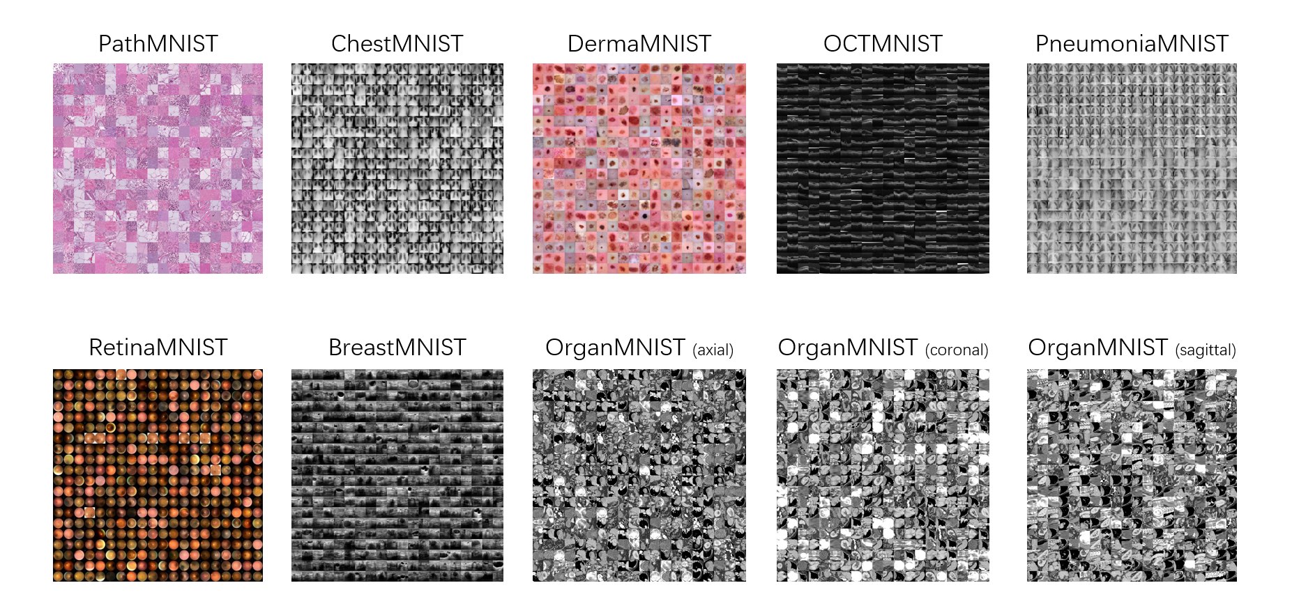 MedMNIST_Decathlon