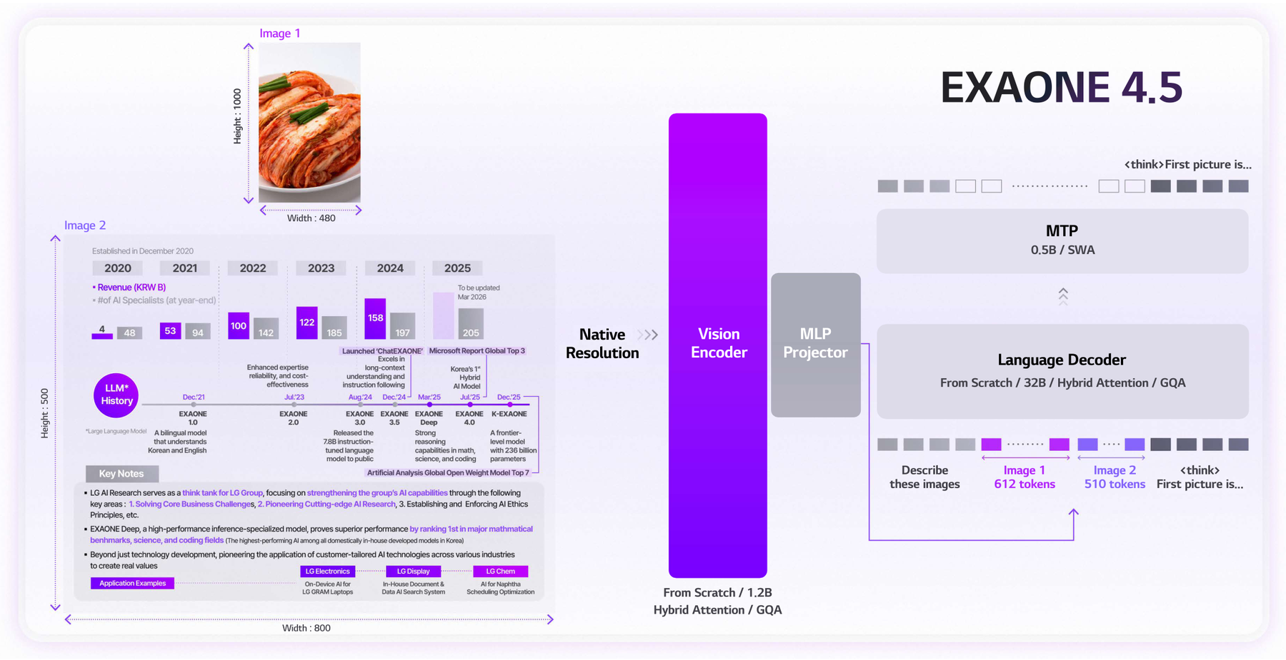 EXAONE 4.5: Native Multimodal Pretraining for Documents architecture: Native-resolution vision encoding, projection, language decoding, and multi-token prediction